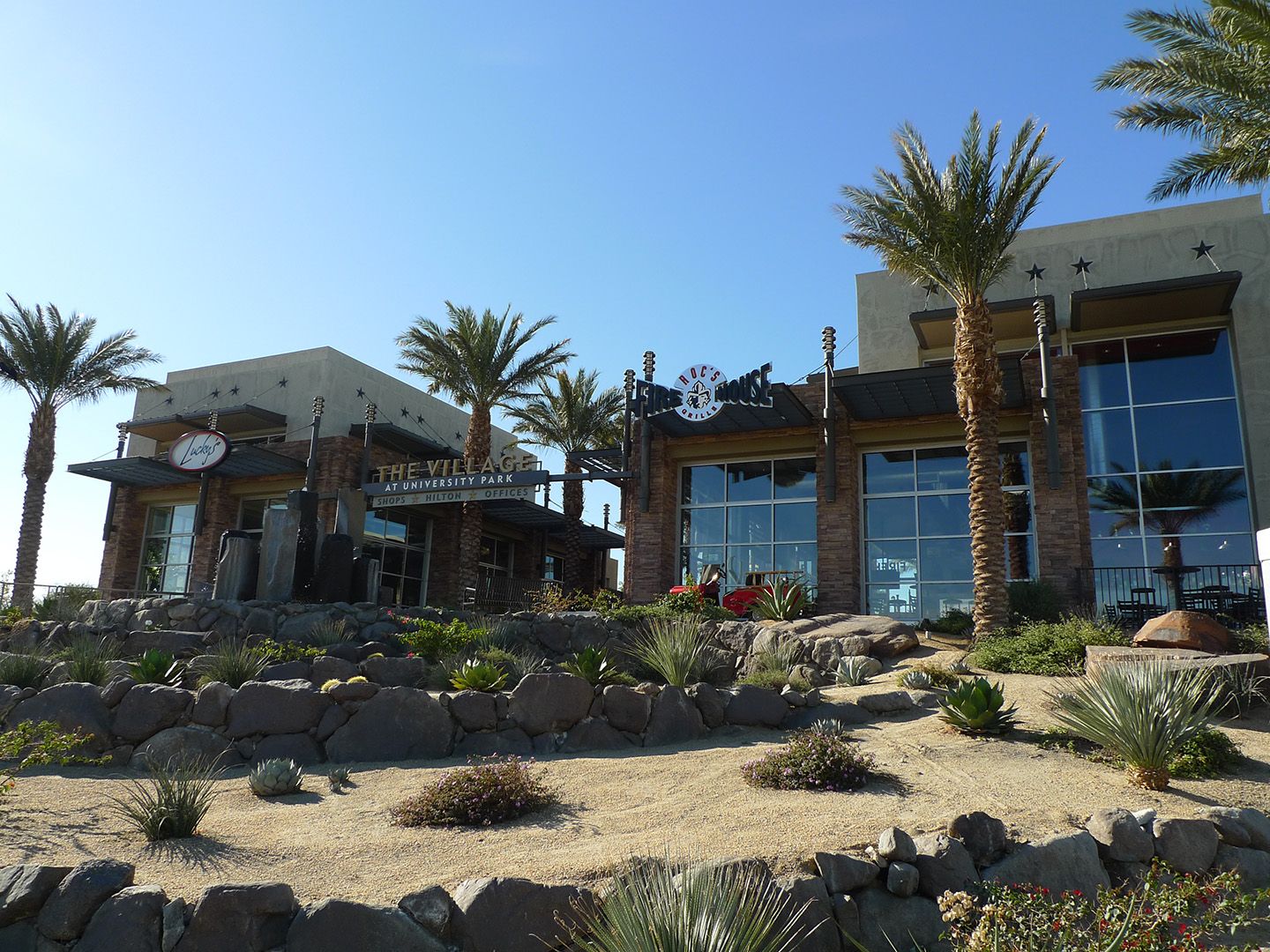 construction expert witness arizona